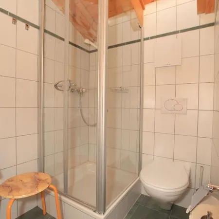 Apartment Fenestral 301 By Interhome